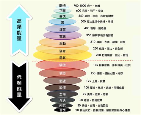 大衛霍金斯能量表|【大卫.霍金斯 能量层级】你在哪个能量级呢？